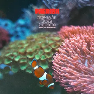 Paerish You're In Both Dreams (And You're…) (CD)