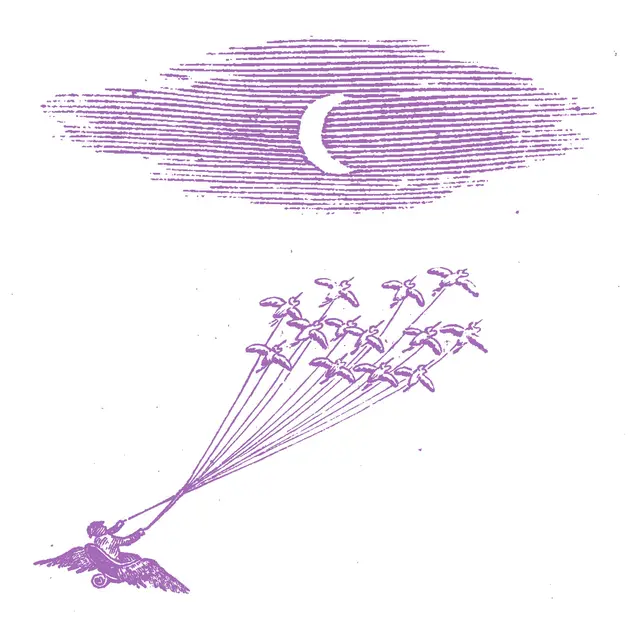 Feeling Figures Migration Magic (LP) 