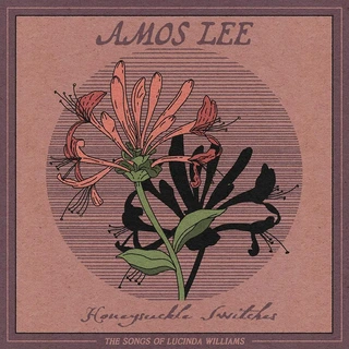 Amos Lee Honeysuckle Switches - RSD (LP)