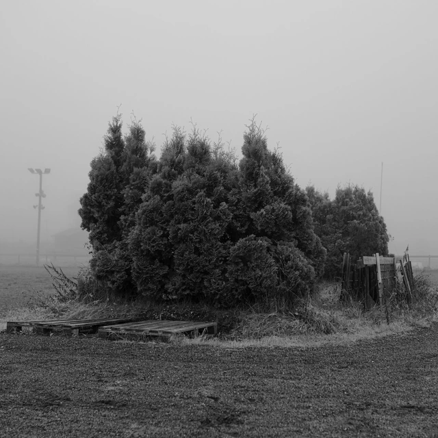 Trym Søvdsnes Trym Søvdsnes (LP) 