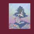 Nagircalmmiid Down To The Bone (LP)