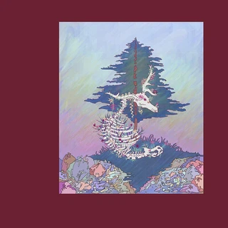 Nagircalmmiid Down To The Bone (LP)