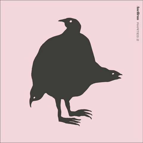 Ane Brun Rarities 2 (LP)