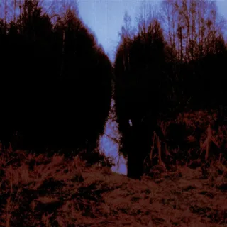 Opeth My Arms Your Hearse (CD)