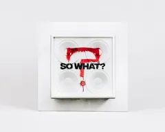 While She Sleeps So What? (CD)