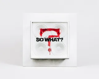 While She Sleeps So What? (CD)