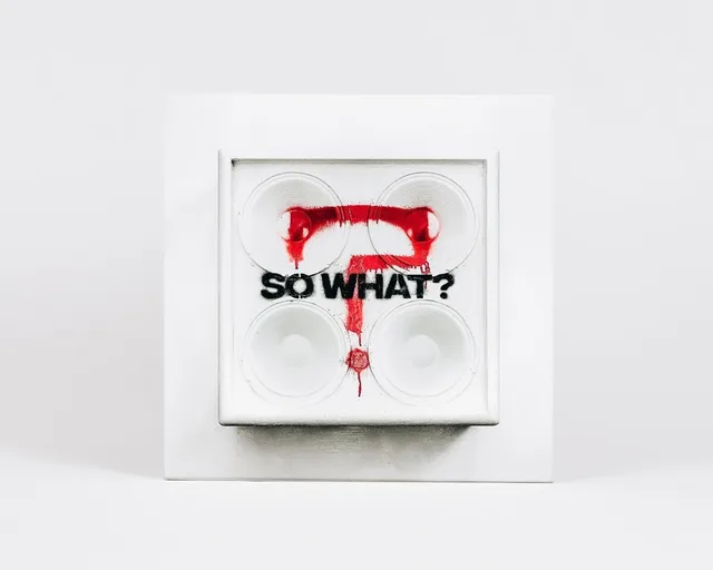 While She Sleeps So What? (CD) 