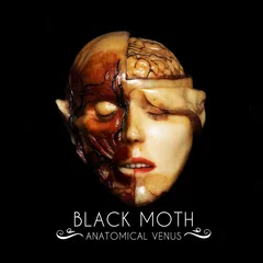 Black Moth Anatomical Venus (LP)
