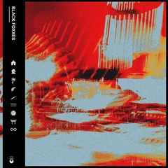 Black Foxxes Black Foxxes (LP)