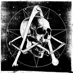 Atreyu In Our Wake (CD)