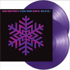 Warren Haynes The Benefit Concert Volume 20, 1 (2LP)