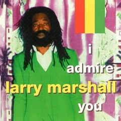 Larry Marshall I Admire You (LP)