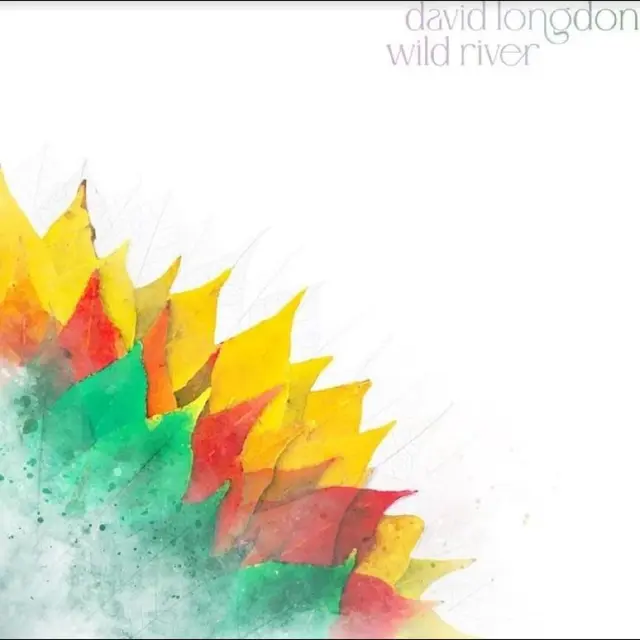 David Longdon Wild River (2LP) 