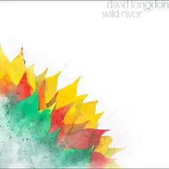 David Longdon Wild River - LTD (2LP)