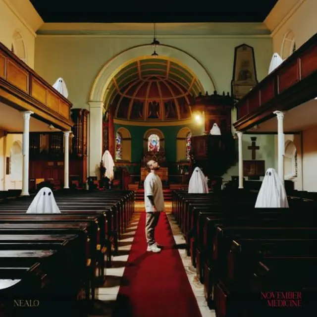 Nealo November Medicine (LP) 