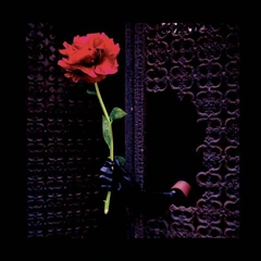 Crush Of Souls (A)Void Love (LP)