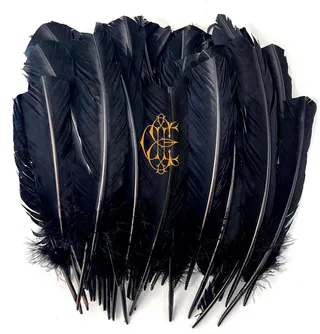 David Eugene Edwards Hyacinth - LTD (LP)