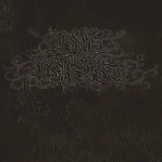 Boris With Merzbow 4092001 - LTD (LP)