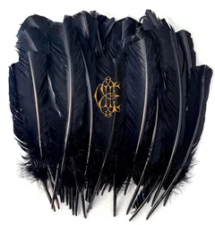 David Eugene Edwards Hyacinth (CD)