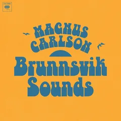 Magnus Carlson Brunnsvik Sounds (CD)