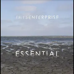 Thysenterprise Essential (LP)