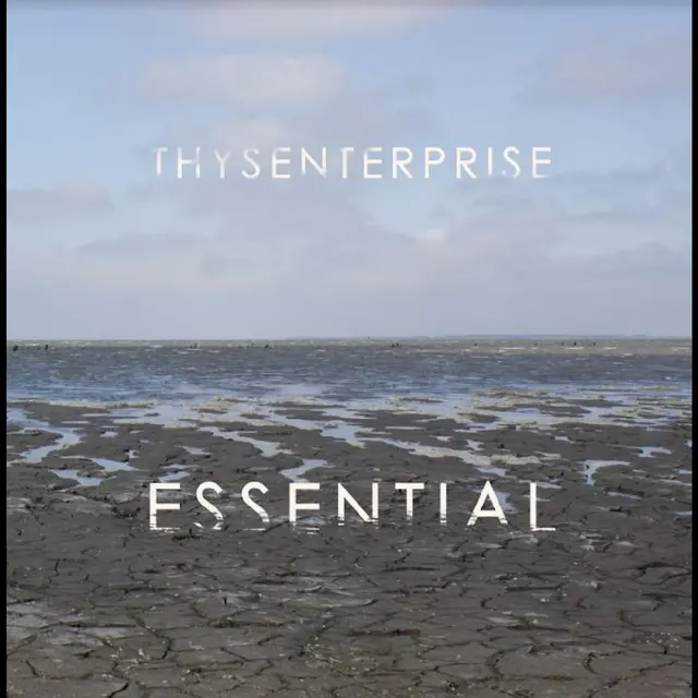Thysenterprise Essential (LP) 