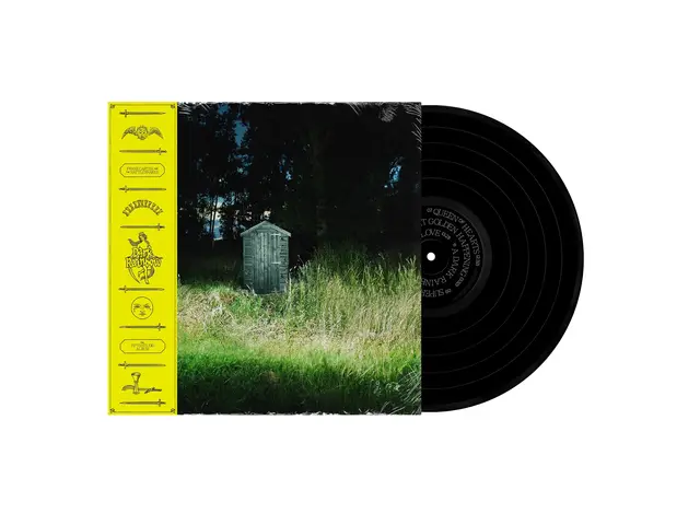 Frank Carter & The Rattlesnakes Dark Rainbow (LP) 