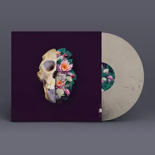 Verneri Pohjola Monkey Mind (LP)