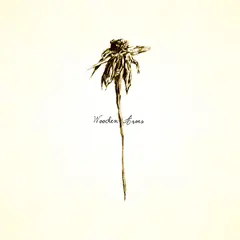 Patrick Watson Wooden Arms (LP)