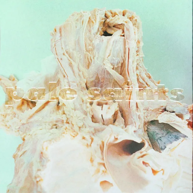 Pale Saints In Ribbons - LTD (2LP) 