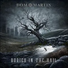 Dom Martin Buried In The Hail (LP)