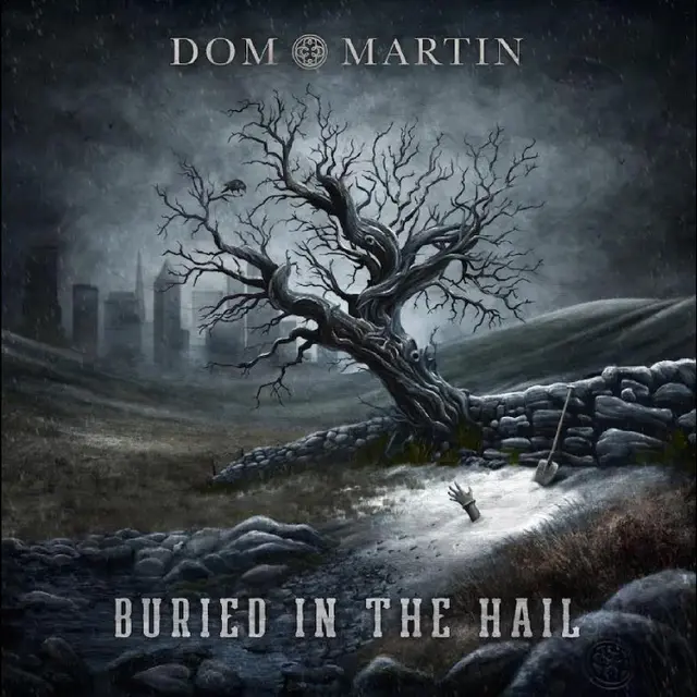 Dom Martin Buried In The Hail (LP) 