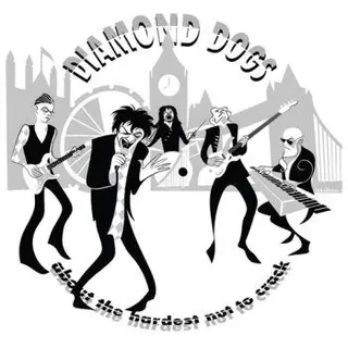 Diamond Dogs About The Hardest Nut To Crack (LP)