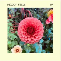 Melody Fields 1991 (LP)