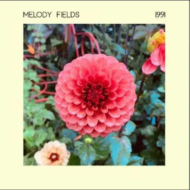 Melody Fields 1991 (LP) 