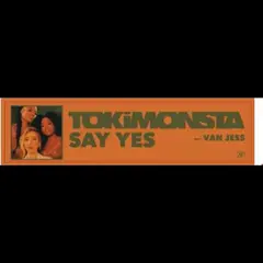 TOKiMONSTA Say Yes Feat. VanJess - LTD (12")