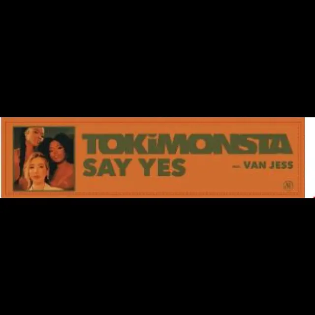 TOKiMONSTA Say Yes Feat. VanJess - LTD (12") 