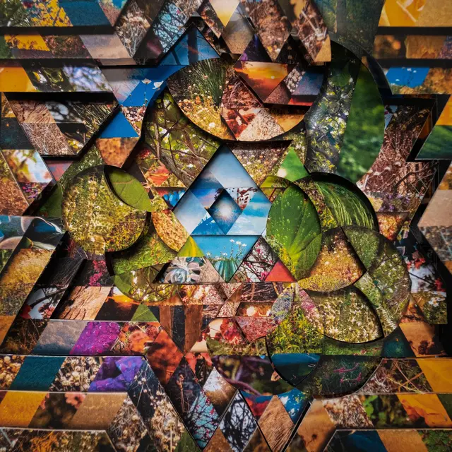 Miguel Atwood-Ferguson Les Jardins Mystiques Vol. 1 (4LP) 