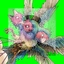 Gouldian Finch Hatch (LP)