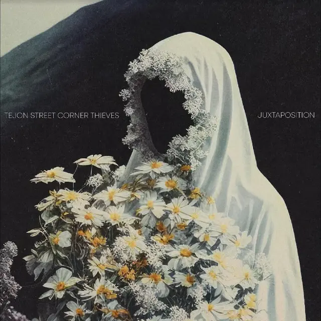 Tejon Street Corner Thieves Juxtaposition (LP) 