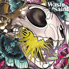 Waste A Saint Hypercarnivore (LP)