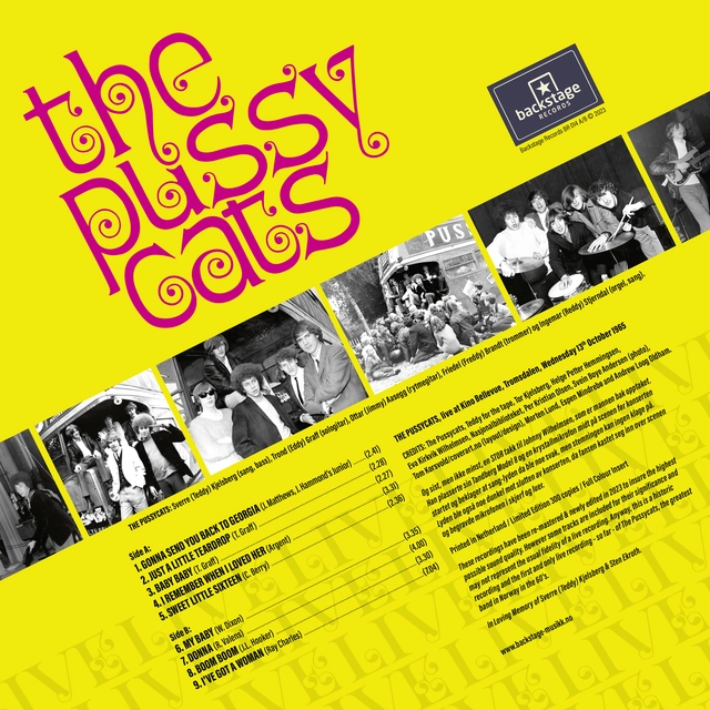 The Pussycats Live 1965 - LTD GUL (LP) 