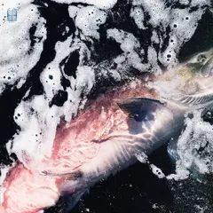 Jessika Kenney &amp; Eyvind Kang Azure (LP)