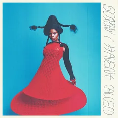 Vagabon Sorry I Haven't Called (CD)