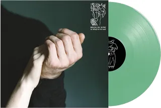 Birds In Row We Already Lost The World - LTD (LP)