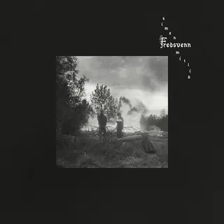 Simen Mitlid Fredsvenn (LP)