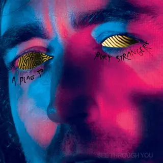 A Place To Bury Strangers See Through You (MC)