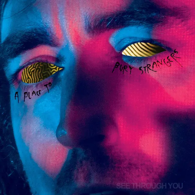 A Place To Bury Strangers See Through You (MC) 