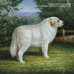 Douglas Andrew McCombs VMAK - LTD (LP)