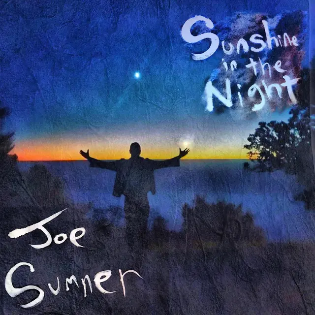Joe Sumner Sunshine In The Night (LP) 